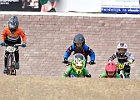 921H7931 bmx-tc-11-9-21